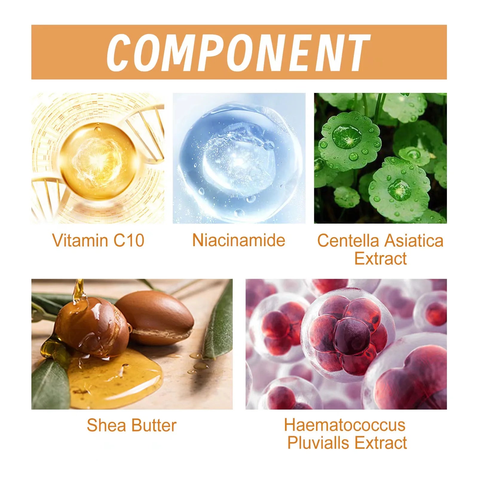 Vitamin C Anti-Aging Face Serum - yourelevatedwellness