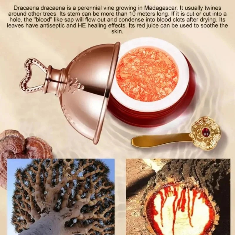 Dragon’s Blood Retinol Face Cream - yourelevatedwellness