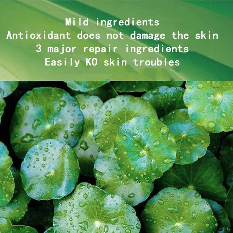 Centella Collagen Sleeping Face Mask – 30pcs Anti-Aging Care - yourelevatedwellness
