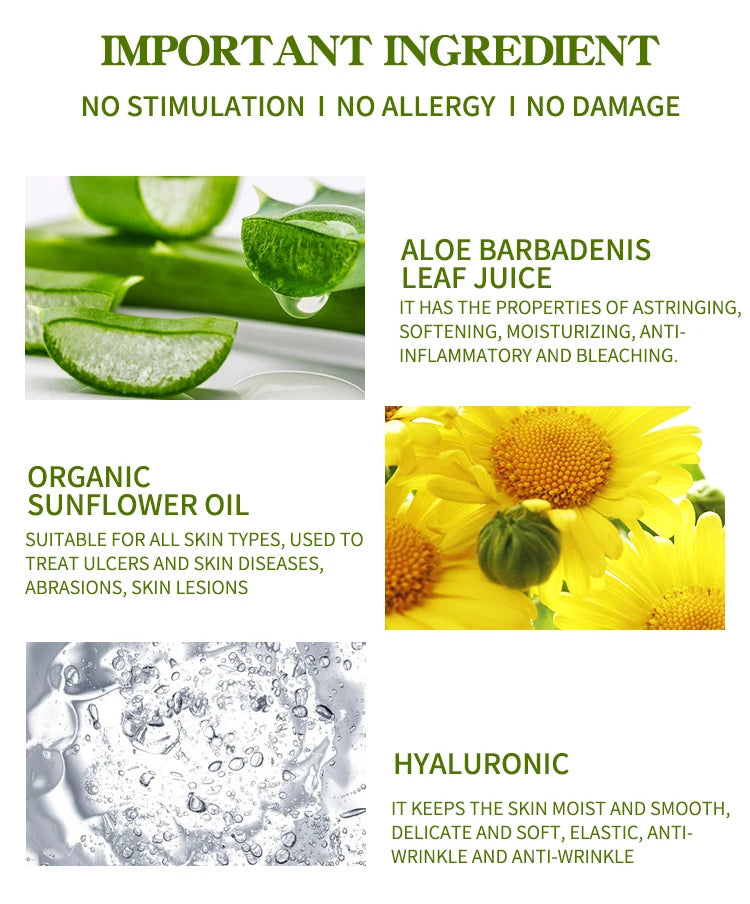 Vitamin B5 Face Serum – Hydrating, Repairing & Pore-Minimizing Facial Essence - yourelevatedwellness