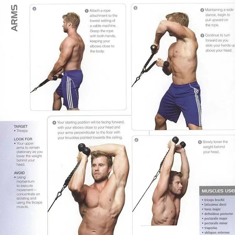Triceps & Back Workout Rope Handle - yourelevatedwellness